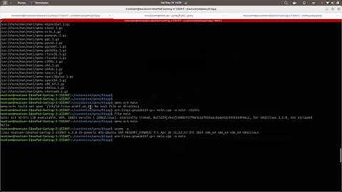 02 Qemu run arm application