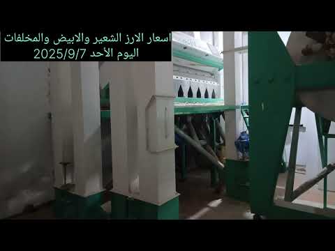 اليوم الأحد 2025 9 7 اسعار الارز الشعير والابيض ومخلفات الارز سرس مطحون وكون وكسر الارز يوميا