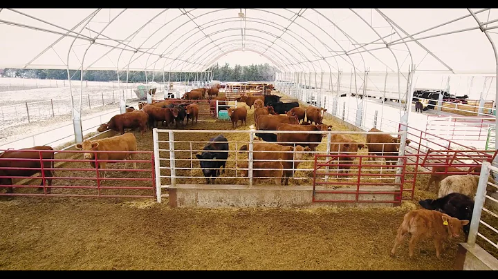 Burkey Farm Virtual Tour