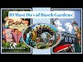 10 MUST DO'S AT BUSCH GARDENS TAMPA BAY! - Vlog 38