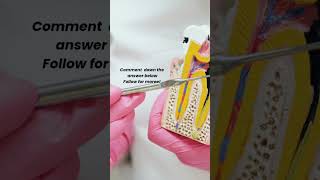 NEET PREPARATION  2027#education #neet #dentist #neetmds #explore #viral #likeandsubscribe #follow
