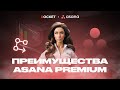 Преимущества и возможности Аsana на тарифе Premium. Стоит ли переходить с базового тарифа?