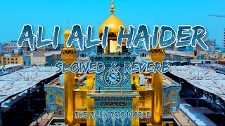 Ali Ali Haider | Slowed & Reverb | Farhan Ali Waris | The Ali Waris World