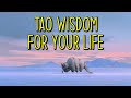 Tao Wisdom Quotes For A Successful Life