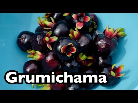 Vidéo: Grumichama
