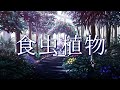 【歌ってみた】「食虫植物」 covered by 跳亜