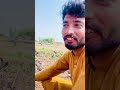 TikTok Life vs Real Life 😳 | Village Reality in Pakistan | Mini Vlog #vlog #vlog youtubevloggers