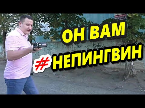 🔥'Блогера ДК Воронеж