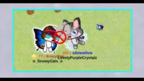 Meow Playground, but if I get hit in db the video ends