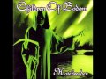 Children of bodom  black widow