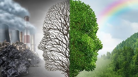 Bash Scripting: Environment Variables ($USER, $HOME, $PATH)