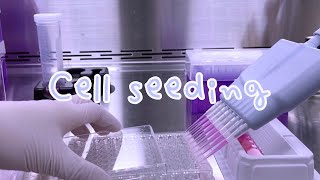 (Eng sub) Cell counting & Cell seeding 🔬🧬