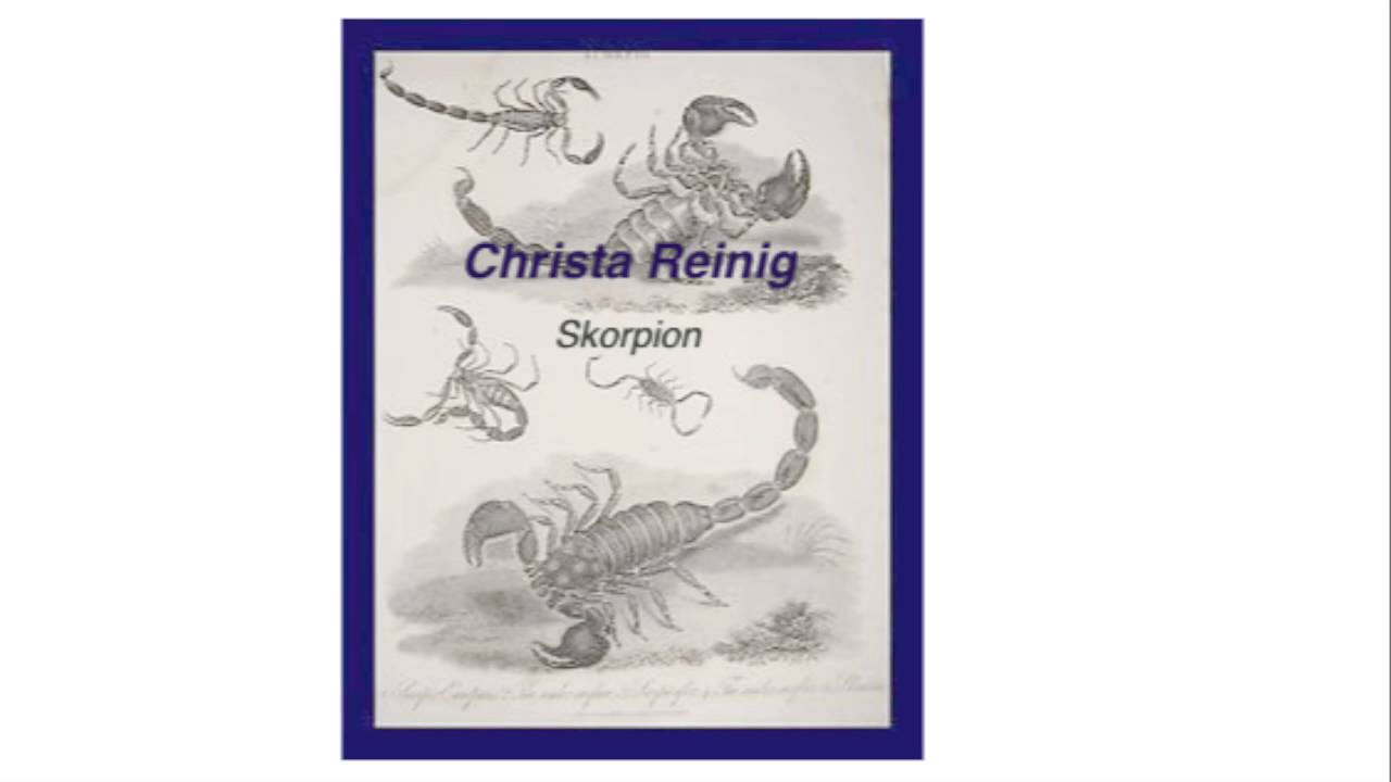 Christa Reinig Der Skorpion