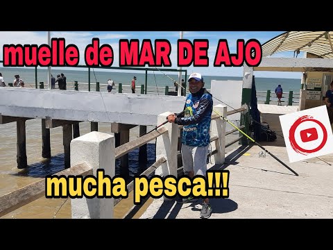 Terrible pesquero el