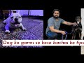 Dog ko garmi se kese bachai ketips#day30#dailyvlog  💯