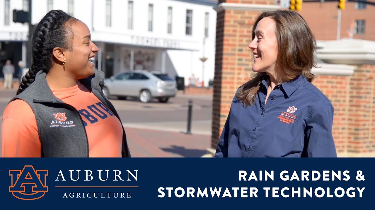 Rain Gardens & Stormwater Technology in Auburn, Alabama