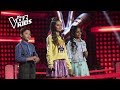 Video Musical