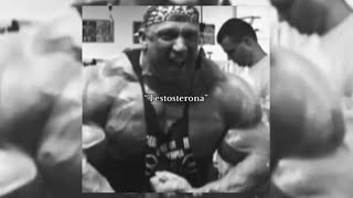 TESTOSTERONE BOOSTER [Super Slowed]
