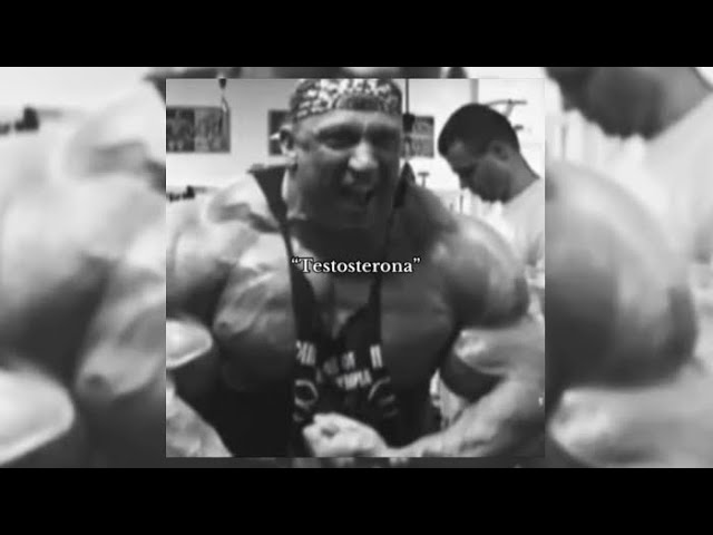 TESTOSTERONE BOOSTER [Super Slowed]