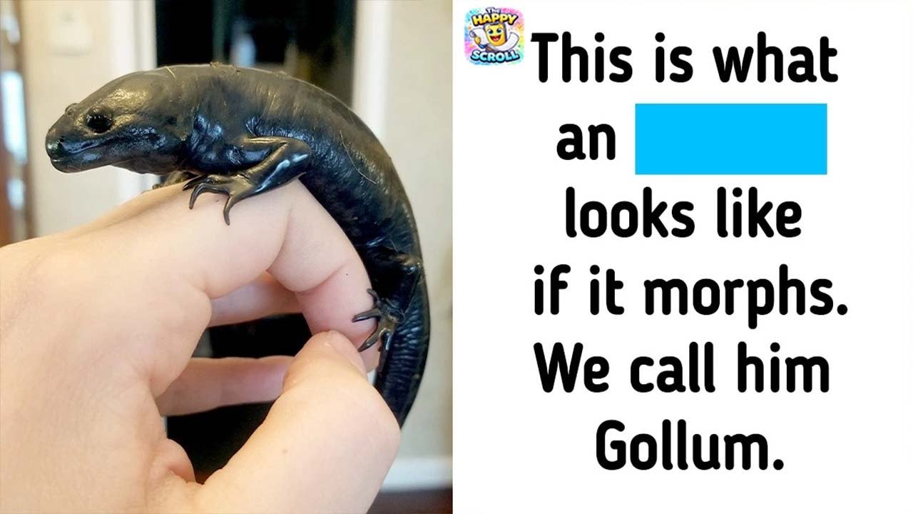 Pictures That Made Us Say, “Wait, What?” (New Pics)