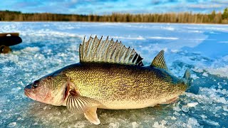 Ice Fishing Wisconsin Walleye with Tip Ups! - The BEST Flag Day EVER!!!