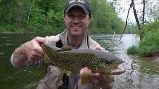 Big Brown Trout Test Ul Fenwick Riverrunner Mealie Master Style