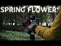 Photographing Beautiful SPRING FLOWER Blossom