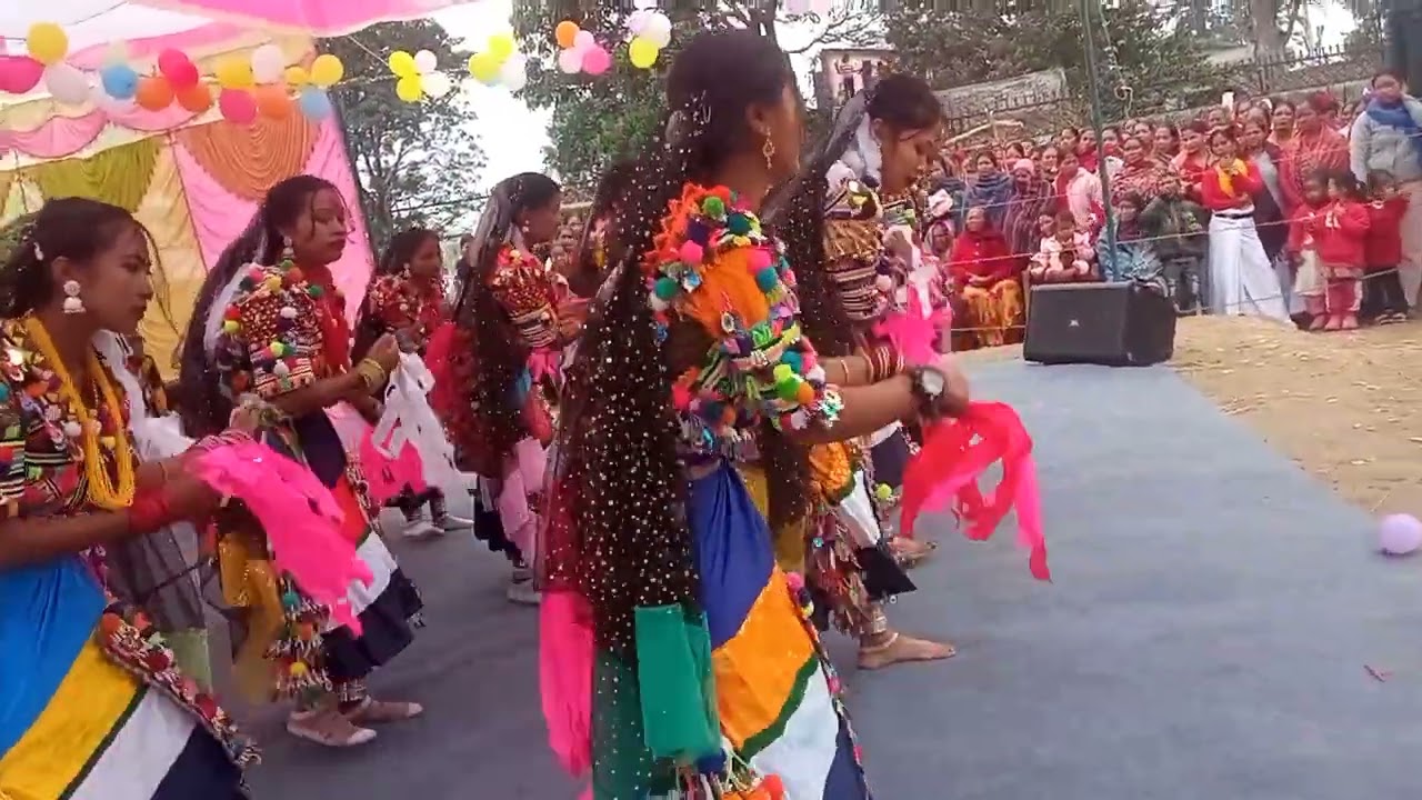 राना थारुक होरि नाच गोदावरी न पा क 