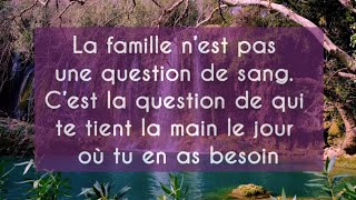Les meilleures citations sur la famille 💞