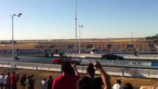 IMG 4487