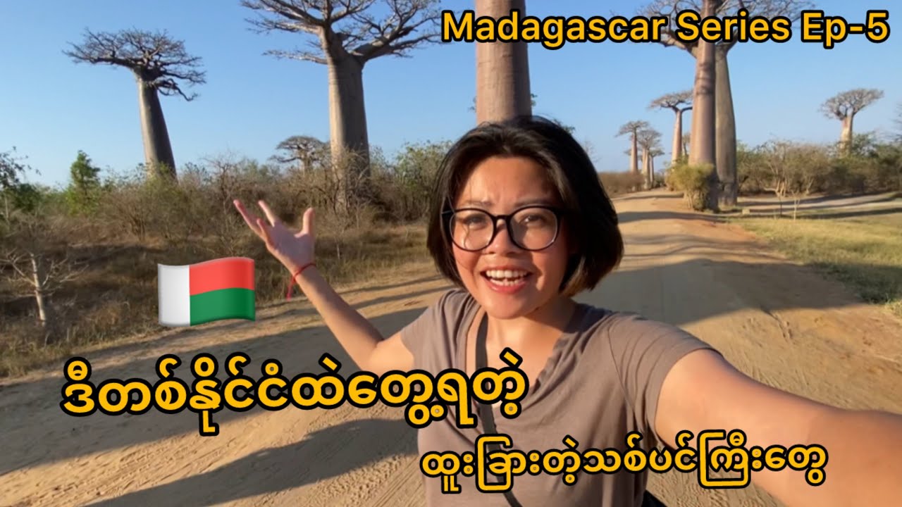 သက်တမ်း 800​ကျော်ရှိ ထူးခြားတဲ့ မိုးပျံသစ်ပင်ကြီးတွေ Ep-5 | Baobab trees in Madagascar 