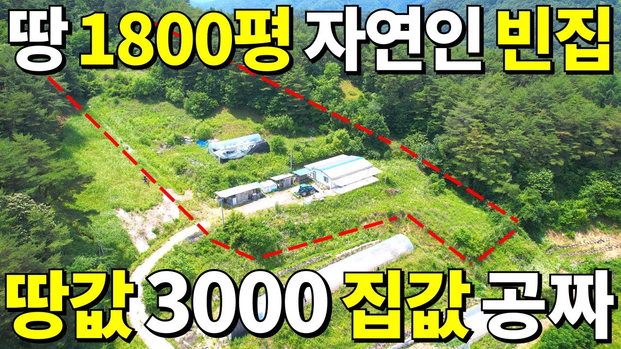 땅 1,800평+2018년식 산속 자연인 전원주택=땅~3,000만원! 집값은 사실상 공짜! 먹고 살 걱정없는 곳~ 헐값에 가져가세요