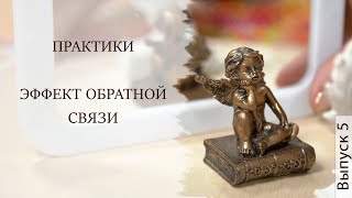 ПРАКТИКА | ЭФФЕКТ ОБРАТНОЙ СВЯЗИ | Светлана Новая | Выпуск 5