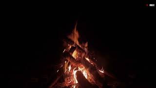 Midnight Forest Fire 🔥 No AI No Ads Authentic Crackling Campfire Sounds 4K 1 Hour
