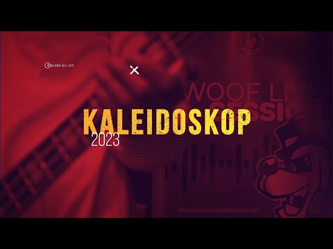 Kaleidoskop 2023 DoggyHouse Records