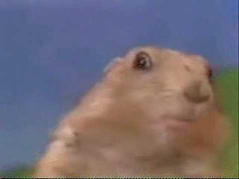 Dramatic Evil Spy Chipmunk