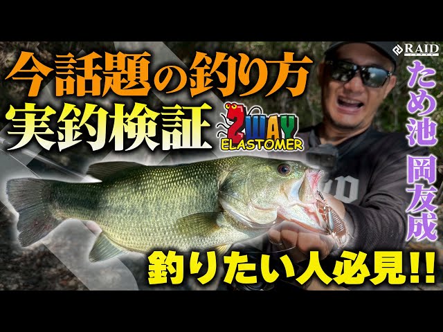 RAID JAPAN] The latest trending fishing method and actual fishing
