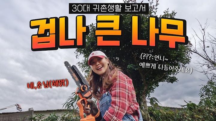 I pruned a HUGE Tree in my yard by myself. Daily life of the countryside in South Korea