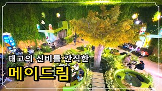 [카페추천] 올해 꼭 가봐야 할 서울근교 신상카페 메이드림  (1월18일 가오픈)  / 신비로운 숲 컨셉의 대형카페 / 영종도카페 인천카페 브런치카페 복합문화공간 전시