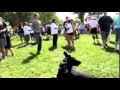 Advanced E Colllar Obedience How To Use An Electric Dog Training Collar To Train A Dog Advanced E Colllar Obedience How To Use An Electric Dog Training Collar To Train A Dog
