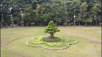 DJI Mavic Mini | Circle Mode Video. Circle Quick Shot.