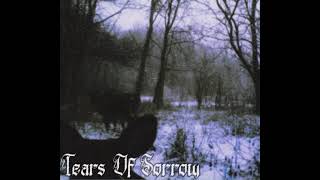 Tears of Sorrow - Geschichten Von Der Nachzehrer