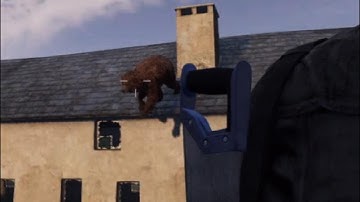 My first bear encounter in DayZ