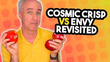 Cosmic Crisp Apple Review Revisited!
