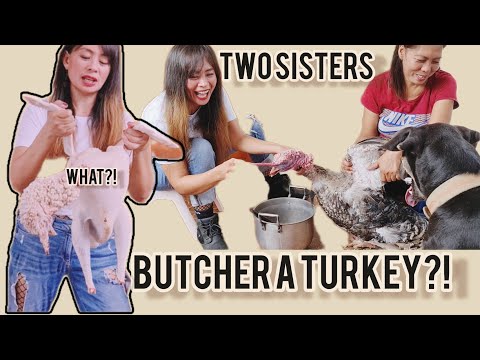 HOW TO BUTCHER A TURKEY?! PAANO MAGKATAY #challenge #youtube #turkey #chicken #butcher #slaughter