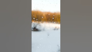 Animated Falling snow in Blender  | Winter Vibes | Blender Magic | Blender 4.3