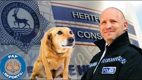 EX Herts Chief Inspector jailed over animal videos