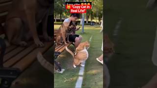 😹 বিড়ালের কান্ড দেখে সবাই হেসে লুটোপুটি | Funny Cat Moments🤔🤔#shorts #funny #viral #cat