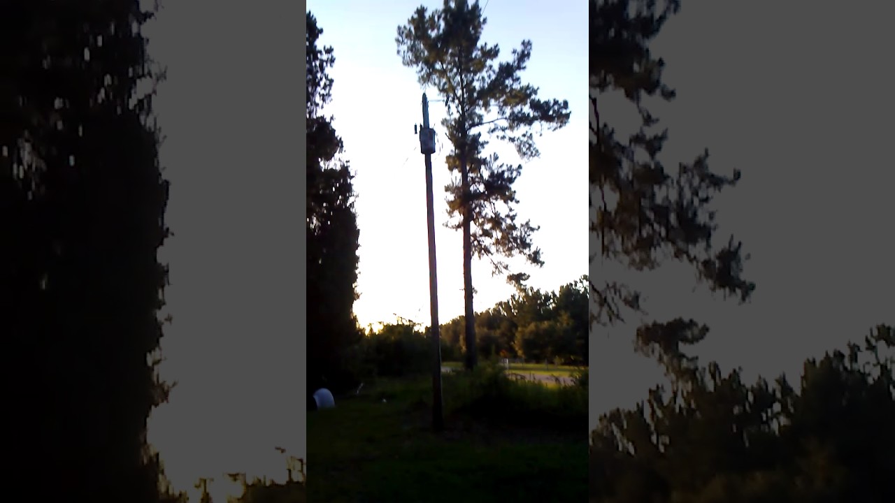 Transformer blows up YouTube