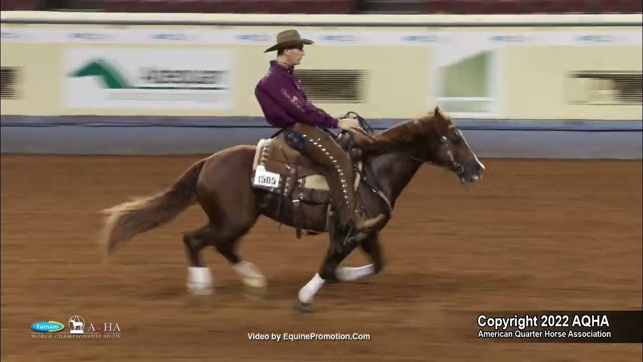 2022-farnam-aqha-and-adequan-select-world-junior-working-cow-horse